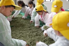 多彩贵州·第十四届中国原生态国际摄影大展 · 7戒 的图集