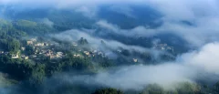 2025多彩贵州·第十八届中国原生态国际摄影大展 · 沙漠狼 的图集