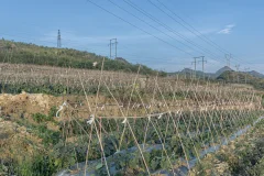 2023多彩贵州·第十六届中国原生态国际摄影大展 · 无极 的图集