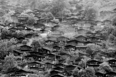 诗意的栖息地
