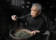 多彩贵州·第十四届中国原生态国际摄影大展 · 刘青娟 的图集