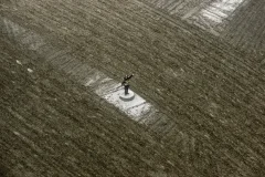 《雪野》