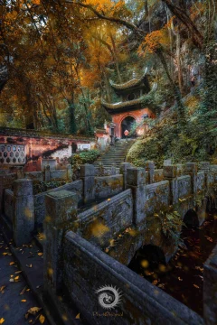 2024多彩贵州·第十七届中国原生态国际摄影大展展览 · 摄影大展官方客服 的图集