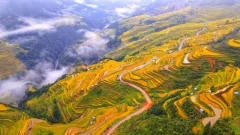 第十五届多彩贵州·中国原生态国际摄影大展·”空中瞰贵州”主题征稿 · 寻觅乡愁 的图集