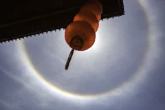 多彩贵州·第十四届中国原生态国际摄影大展 · 知根 的图集