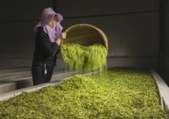 多彩贵州·第十四届中国原生态国际摄影大展 · 乌江摄影 的图集