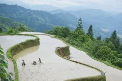 多彩贵州·第十四届中国原生态国际摄影大展 · 寻觅乡愁 的图集
