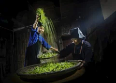 多彩贵州·第十四届中国原生态国际摄影大展 · 朱文军 的图集