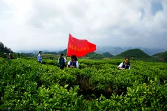 多彩贵州·第十四届中国原生态国际摄影大展 · hujibin 的图集
