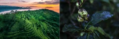 多彩贵州·第十四届中国原生态国际摄影大展 · 朱文军 的图集