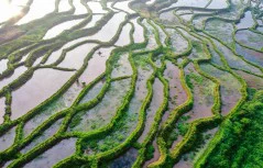 多彩贵州·第十四届中国原生态国际摄影大展 · 普照山 的图集