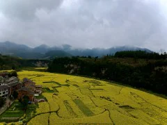多彩贵州·第十四届中国原生态国际摄影大展 · Roye罗小悠 的图集