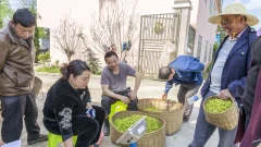 多彩贵州·第十四届中国原生态国际摄影大展 · 乌江摄影 的图集