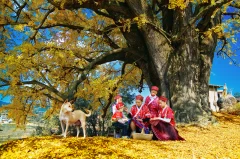 多彩贵州·第十四届中国原生态国际摄影大展 · 苗岭山人 的图集