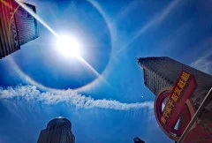 多彩贵州·第十四届中国原生态国际摄影大展 · 挺拳而立 的图集
