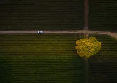 多彩贵州·第十四届中国原生态国际摄影大展 · 老黎 的图集