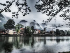 多彩贵州·第十四届中国原生态国际摄影大展 · 秋之蚱蜢 的图集