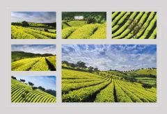 多彩贵州·第十四届中国原生态国际摄影大展 · 王德仙 的图集