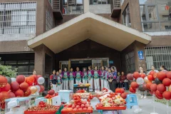 2025多彩贵州·第十八届中国原生态国际摄影大展 · 王进 的图集
