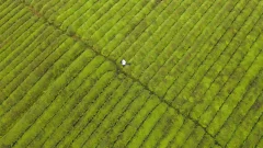 多彩贵州·第十四届中国原生态国际摄影大展 · 方映nic 的图集