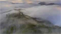 多彩贵州·第十四届中国原生态国际摄影大展 · 文斌 的图集