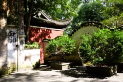 2025多彩贵州·第十八届中国原生态国际摄影大展 · 朱进 的图集