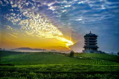 多彩贵州·第十四届中国原生态国际摄影大展 · 周访华 的图集