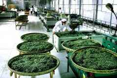 多彩贵州·第十四届中国原生态国际摄影大展 · 周访华 的图集