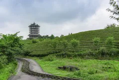多彩贵州·第十四届中国原生态国际摄影大展 · 秋 的图集