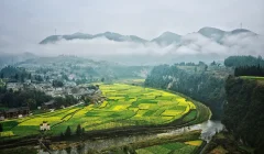 多彩贵州·第十四届中国原生态国际摄影大展 · 高山一棵松 的图集