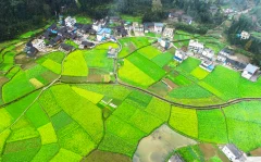 第十五届多彩贵州·中国原生态国际摄影大展·”空中瞰贵州”主题征稿 · 大庄的汉子 的图集