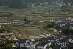 2025多彩贵州·第十八届中国原生态国际摄影大展 · 念念 的图集