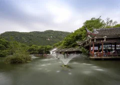 多彩贵州·第十四届中国原生态国际摄影大展 · 梅花三弄 的图集