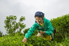 多彩贵州·第十四届中国原生态国际摄影大展 · 七星漂 的图集