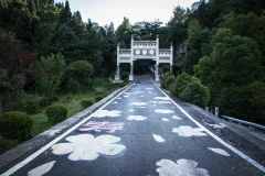 2025多彩贵州·第十八届中国原生态国际摄影大展 · Jenny 的图集