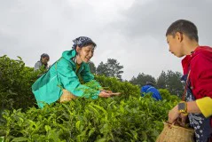 多彩贵州·第十四届中国原生态国际摄影大展 · 七星漂 的图集