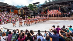 2025多彩贵州·第十八届中国原生态国际摄影大展 · 梧桐树 的图集