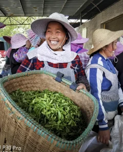 多彩贵州·第十四届中国原生态国际摄影大展 · 张燕 的图集
