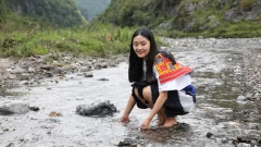 多彩贵州·第十四届中国原生态国际摄影大展 · 流浪枫叶 的图集