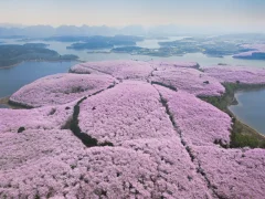 第十五届多彩贵州·中国原生态国际摄影大展·”空中瞰贵州”主题征稿 · 牧渔 的图集
