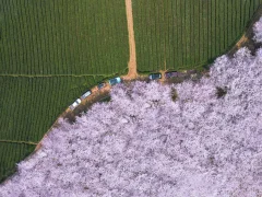 第十五届多彩贵州·中国原生态国际摄影大展·”空中瞰贵州”主题征稿 · 牧渔 的图集