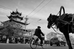 《天山脚下的马背民族 》