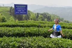 多彩贵州·第十四届中国原生态国际摄影大展 · 黔像荟萃 的图集
