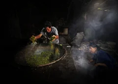 传统制茶