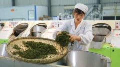 多彩贵州·第十四届中国原生态国际摄影大展 · 乌江摄影 的图集