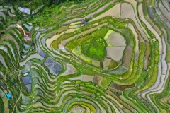 多彩贵州·第十四届中国原生态国际摄影大展 · 地祺DIQI 的图集