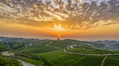 多彩贵州·第十四届中国原生态国际摄影大展 · 大文 的图集