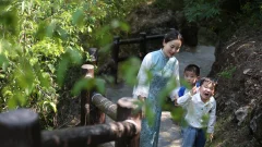 多彩贵州·第十四届中国原生态国际摄影大展 · 流浪枫叶 的图集