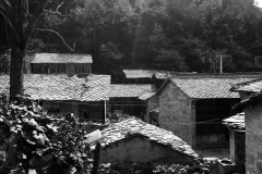 2025多彩贵州·第十八届中国原生态国际摄影大展 · 朱进 的图集