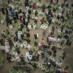 多彩贵州·第十四届中国原生态国际摄影大展 · 阿敏 的图集